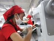 Trong tháng 8, kim ngạch xuất khẩu dệt may giảm 4,8%, sản phẩm gỗ giảm 6,7%, giày dép giảm 3,9%, nhưng tổng kim ngạch vẫn tăng 14,5%