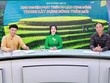 [Talkshow] Kinh nghiệm phát triển du lịch cộng đồng trong xây dựng nông thôn mới 