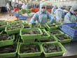 Xuất khẩu lập đỉnh đang tạo lực đỡ cho cổ phiếu thủy sản bước vào chu kỳ mới