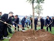 Tổng Bí thư Tô Lâm và các đại biểu tham gia trồng cây tại Lễ phát động “Tết trồng cây đời đời nhớ ơn Bác Hồ” Xuân Bính Ngọ 2026. (Ảnh: Thống Nhất/TTXVN)