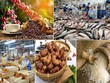 Xuất khẩu nông lâm thủy sản giữ vững đà tăng trưởng 