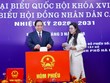 Thủ tướng Phạm Minh Chính cùng cử tri bỏ phiếu bầu cử tại phường Tây Hồ, Hà Nội 