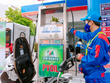 Triển khai sớm xăng sinh học, giảm áp lực nguồn cung xăng khoáng 