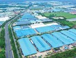 Các khu công nghiệp xanh, bền vững ngày càng thu hút nhiều nhà đầu tư (Ảnh: P.V) 