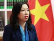 Thứ trưởng Bộ Ngoại giao Lê Thị Thu Hằng trả lời phỏng vấn báo chí.