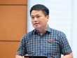 Đại biểu Đặng Ngọc Huy (Quảng Ngãi ) phát biểu tại tổ - Ảnh: PT. 