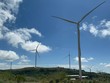 Quảng Ninh sẽ có Nhà máy điện gió công suất 200 MW 