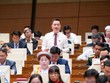 Đại biểu Trịnh Xuân An tham gia thảo luận. 