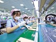 Gần một nửa sản lượng điện thoại thông minh toàn cầu của Samsung được sản xuất tại Việt Nam 
