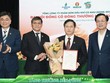 Ông Nguyễn Thanh Tùng được bổ nhiệm là Thành viên HĐQT kiêm Tổng giám đốc PVCFC