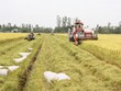 Ðồng Tháp hướng đến nền nông nghiệp sinh thái xanh bền vững 