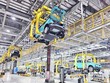 Cắt giảm điều kiện kinh doanh: Mở cửa đúng, thực chất 