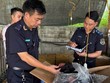 Công chức hải quan kiểm đếm hàng hoá vi phạm.