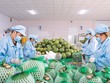 Các danh mục cắt giảm lần này là bước đi đáng ghi nhận vì đã chạm đến nhiều vướng mắc, mà doanh nghiệp thường gặp