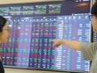 Cổ phiếu của nhóm doanh nghiệp nhà nước thu hút sự quan tâm của giới đầu tư trong thời gian gần đây 