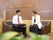 Điểm hạn chế của nhóm công ty bảo hiểm trực thuộc ngân hàng là khó phát triển kênh đại lý cá nhân
