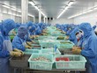 Xuất khẩu vẫn duy trì tăng trưởng tích cực, nhưng đà phục hồi sản xuất đang có dấu hiệu chậm lại 