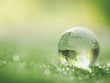 Quỹ đầu tư xanh quốc gia: Đầu kéo vốn cho chuyển đổi xanh