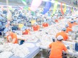 Doanh nghiệp ngóng thông tin về đàm phán thuế đối ứng 