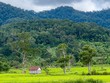 Xúc tiến đầu tư nhiều điểm du lịch mới, hấp dẫn tại tỉnh Gia Lai 