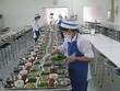 TP.HCM vẫn chưa thể ủy quyền cấp Giấy chứng nhận cơ sở đủ điều kiện an toàn thực phẩm đối với hộ kinh doanh dịch vụ ăn uống