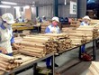 Xuất khẩu gỗ và sản phẩm gỗ 5 tháng năm 2026 mang về trên 7 tỷ USD, tăng 2,9% so với cùng kỳ năm trước. 