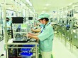 Sản xuất linh kiện điện tử tại nhà máy của Panasonic Việt Nam. Ảnh: Đức Thanh 