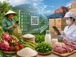 Truy xuất nguồn gốc đã trở thành yêu cầu bắt buộc với nông sản khi tham gia các chuỗi cung ứng hiện đại.