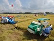 Ngành nông nghiệp và môi trường tiết kiệm 5.300 tỷ đồng nhờ cắt giảm thủ tục hành chính 