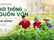 Tổ vay vốn Agribank: Khơi thông nguồn vốn, trợ lực vững chắc cho “Tam nông”