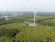 Đến nay, trên địa bàn TP. Cần Thơ đã có 9 nhà máy điện gió chính thức vận hành thương mại, đạt công suất 396 MW.