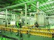 Tân Hiệp Phát linh hoạt điều chỉnh mục tiêu tăng trưởng theo diễn biến thị trường, nhu cầu tiêu dùng và điều kiện kinh doanh