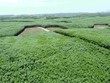 Quảng Trị là một trong những địa phương có độ che phủ rừng lớn nhất cả nước.