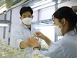 Nuôi cấy mô tại phòng thí nghiệm 