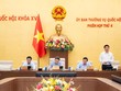 Phó chủ tịch Quốc hội Nguyễn Hồng Diên điều hành phiên thảo luận. 