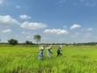 Cắm mốc giải phóng mặt bằng tuyến cao tốc TP.HCM - Mộc Bài. Ảnh: Lê Anh