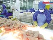 6 tháng đầu năm nay, kim ngạch xuất khẩu thủy ước đạt khoảng 5,7 tỷ USD, tăng khoảng 11% so với cùng kỳ năm trước. Ảnh: Lê Toàn