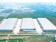Việt Nam đang bước vào giai đoạn thu hút dòng vốn FDI có chất lượng cao hơn, đồng thời cũng đặt ra những yêu cầu hoàn toàn mới đối với thị trường bất động sản công nghiệp. Ảnh: Lê Toàn.