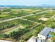 Hải Phòng tập trung cao độ, quyết liệt hoàn thành cơ sở dữ liệu đất đai Thành phố. Ảnh: Trung Kiên