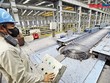 Để tăng trưởng cao trong thời gian tới, Việt Nam cần chuyển sang mô hình dựa trên năng suất, đổi mới sáng tạo và khu vực tư nhân trong nước. Ảnh: Đ.T