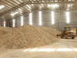 Sắn lát trong kho chờ xuất khẩu. Ảnh: ĐVCC.
