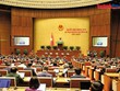 Phiên khai mạc Kỳ họp không thường lệ thứ nhất. Ảnh: Đức Thanh