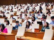 Hồ sơ nghị quyết thành lập hai thành phố sẽ được trình Quốc hội ngay tại Kỳ họp không thường lệ lần thứ nhất. 