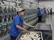 Xuất khẩu của khu vực doanh nghiệp trong nước 7 tháng gần 64 tỷ USD, chiếm 19,9% tổng kim ngạch xuất khẩu. 