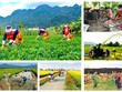 Bộ Tài chính đề xuất thống nhất 4 chương trình mục tiêu quốc gia thành một Chương trình tổng thể, nhằm nâng cao hiệu quả quản lý, sử dụng nguồn lực và tăng cường phân cấp cho địa phương.