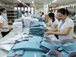 Đơn hàng xuất khẩu cải thiện đang thúc đẩy nhiều doanh nghiệp mở rộng sản xuất và tuyển dụng lao động