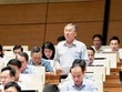 Đại biểu Trịnh Ngọc Phương (Tây Ninh) phát biểu tại hội trường - Ảnh: QH. 
