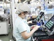 Xuất khẩu hàng điện tử sang Australia 7 tháng đầu năm nay dẫn đầu với kim ngạch trên 1,3 tỷ USD. 