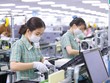Nhập siêu từ Hàn Quốc 7 tháng đầu năm tăng gần 87% so với cùng kỳ. 