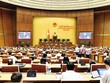 Phiên thảo luận toàn thể về Dự án Luật Phát triển đô thị 